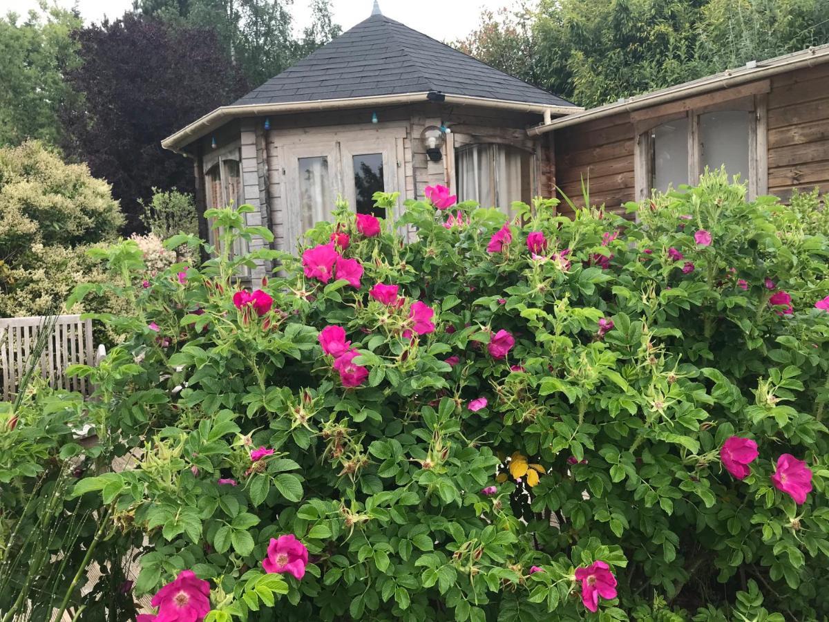 Le Jardin Sauvage Bed and Breakfast Maintenay Exteriör bild