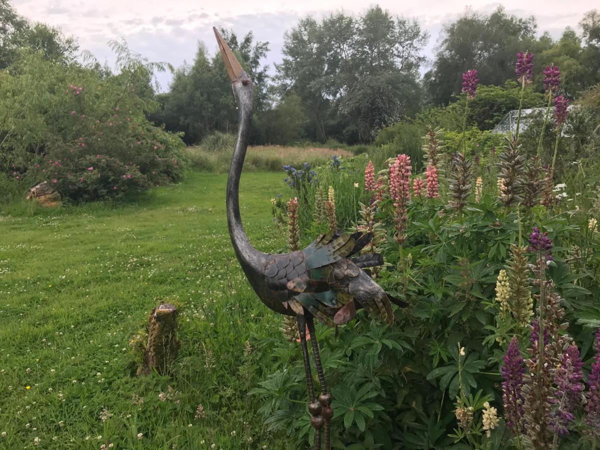 Le Jardin Sauvage Bed and Breakfast Maintenay Exteriör bild