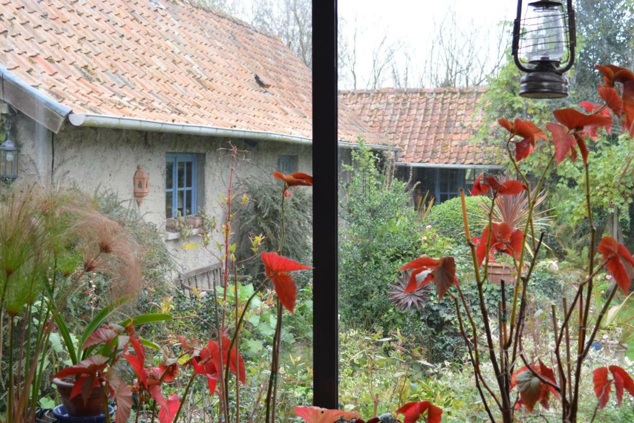 Le Jardin Sauvage Bed and Breakfast Maintenay Exteriör bild