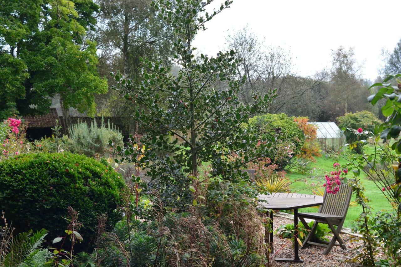 Le Jardin Sauvage Bed and Breakfast Maintenay Exteriör bild