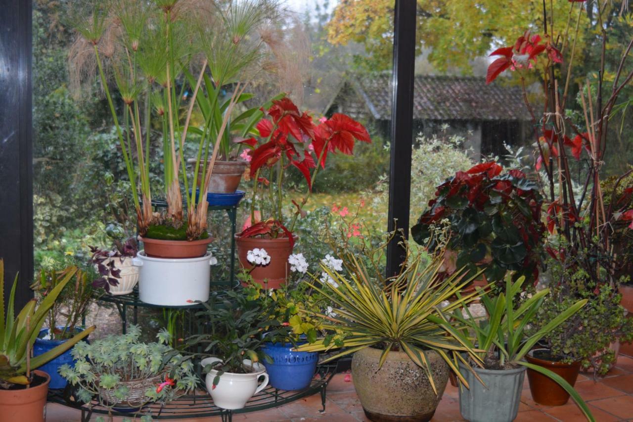Le Jardin Sauvage Bed and Breakfast Maintenay Exteriör bild