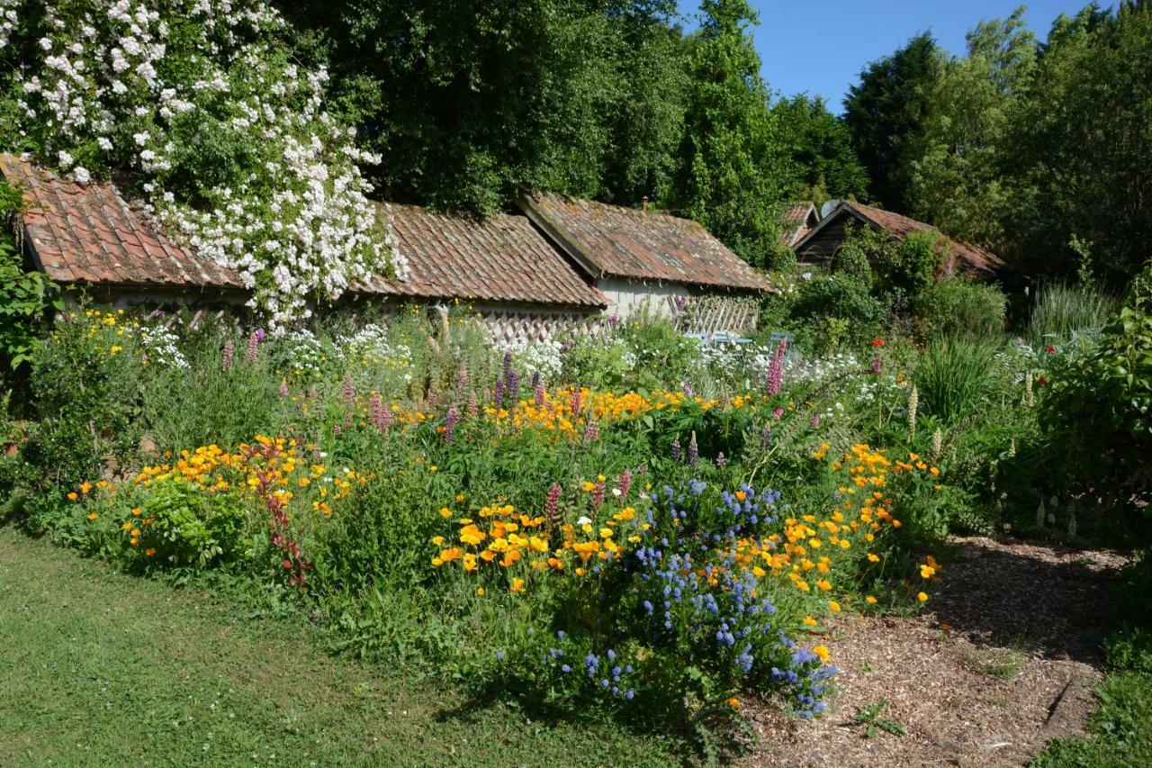 Le Jardin Sauvage Bed and Breakfast Maintenay Exteriör bild