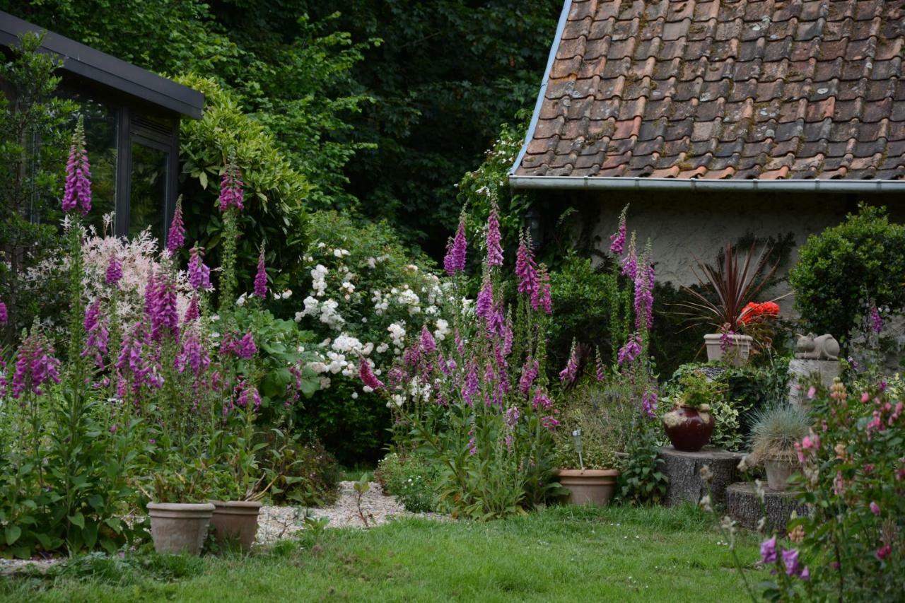 Le Jardin Sauvage Bed and Breakfast Maintenay Exteriör bild
