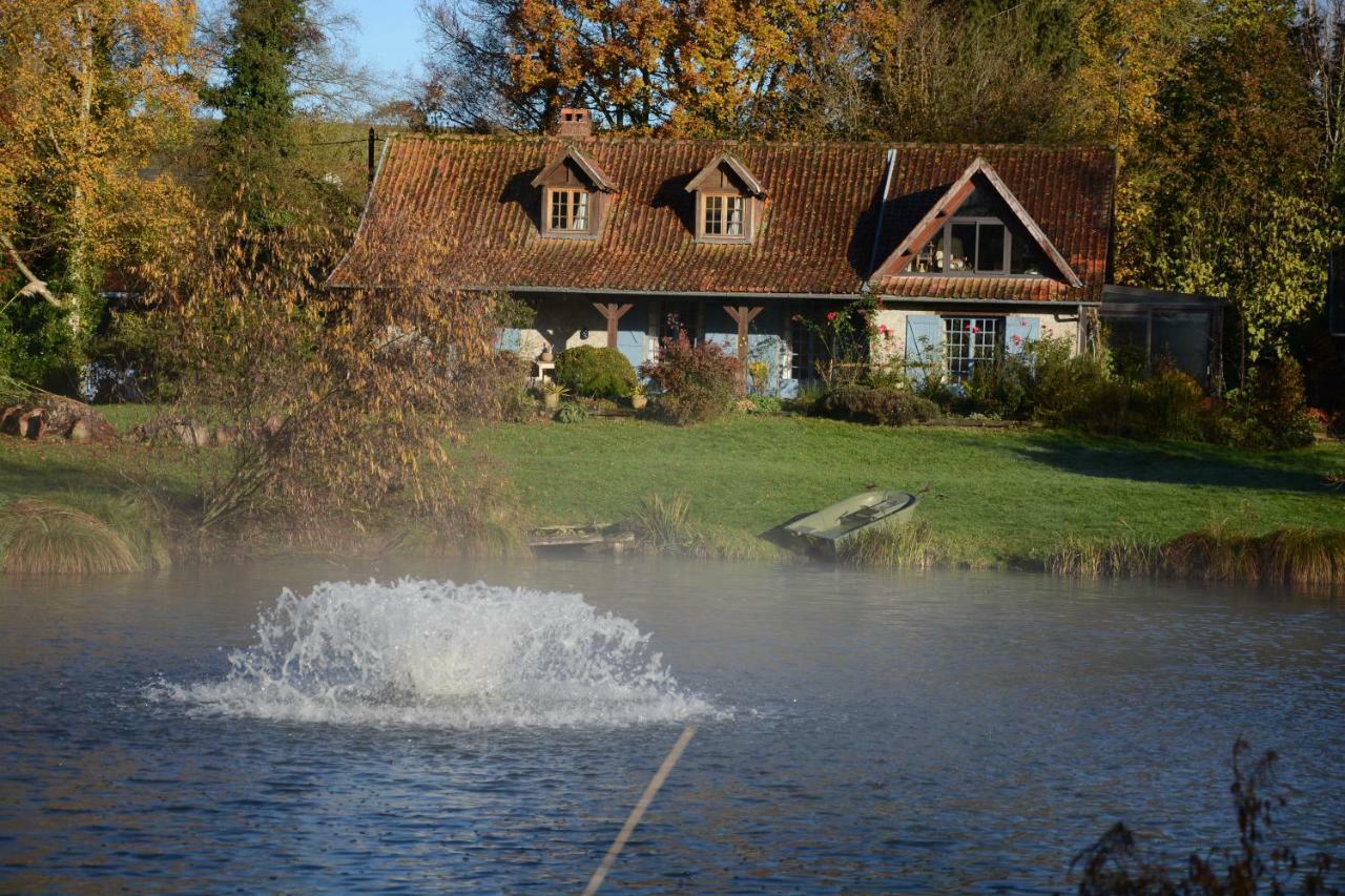 Le Jardin Sauvage Bed and Breakfast Maintenay Exteriör bild