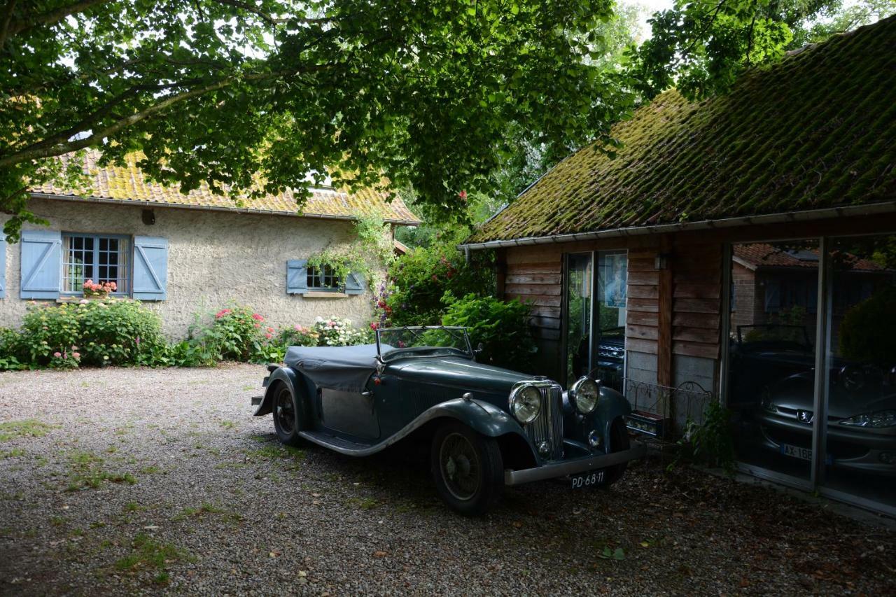 Le Jardin Sauvage Bed and Breakfast Maintenay Exteriör bild