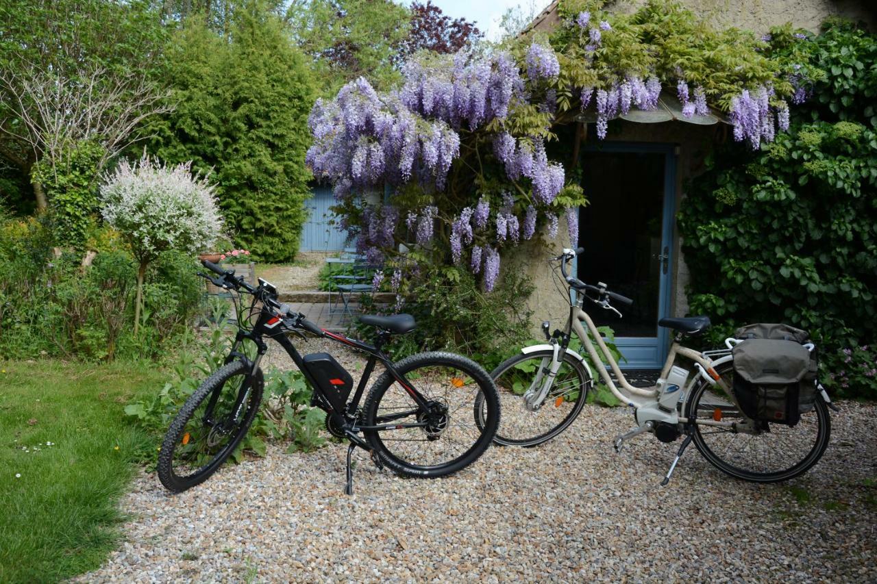 Le Jardin Sauvage Bed and Breakfast Maintenay Exteriör bild