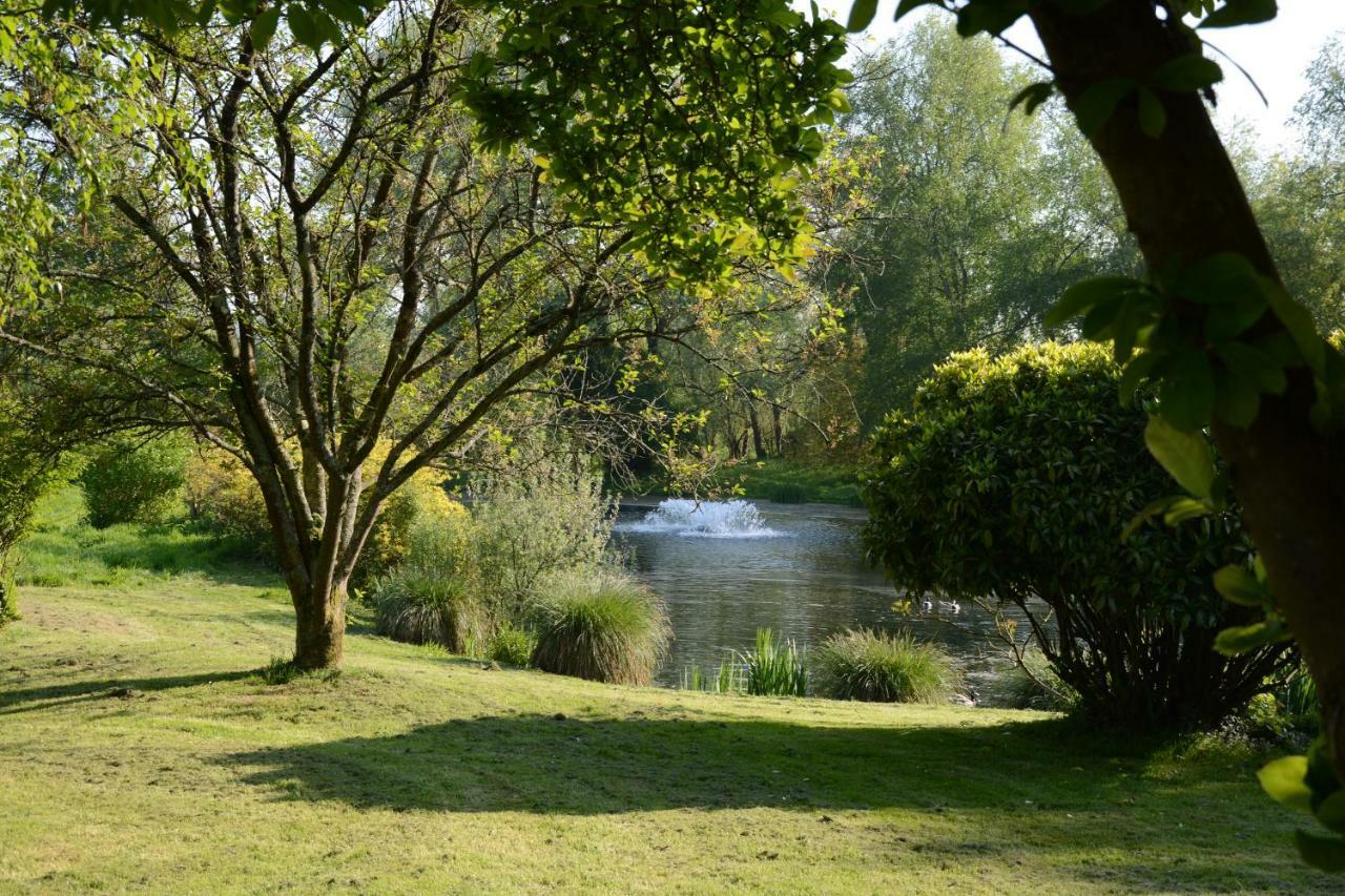 Le Jardin Sauvage Bed and Breakfast Maintenay Exteriör bild